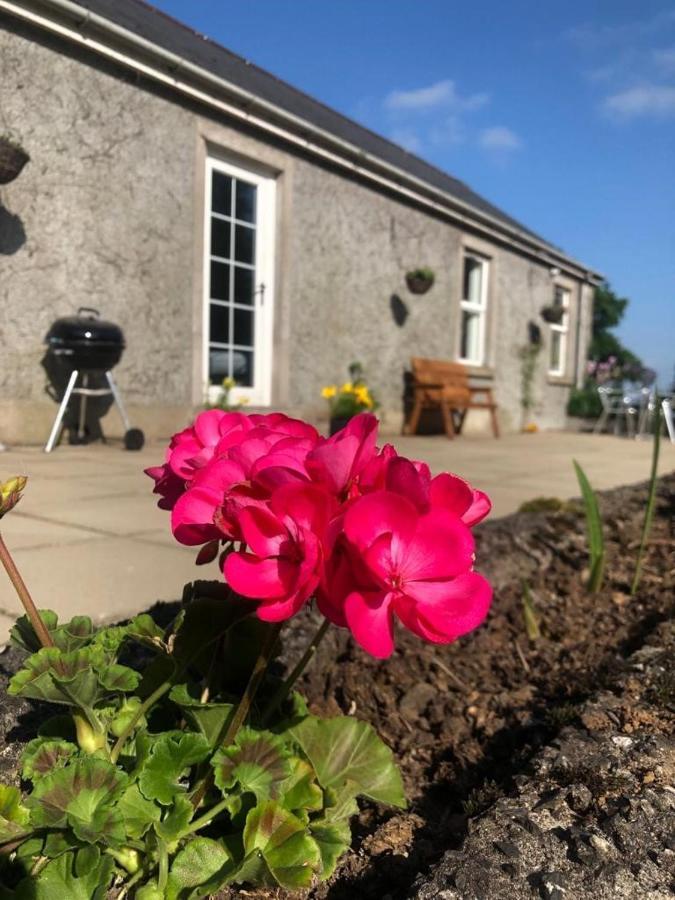Ballyconnelly Cottages, Galgorm Area Cullybackey Bagian luar foto