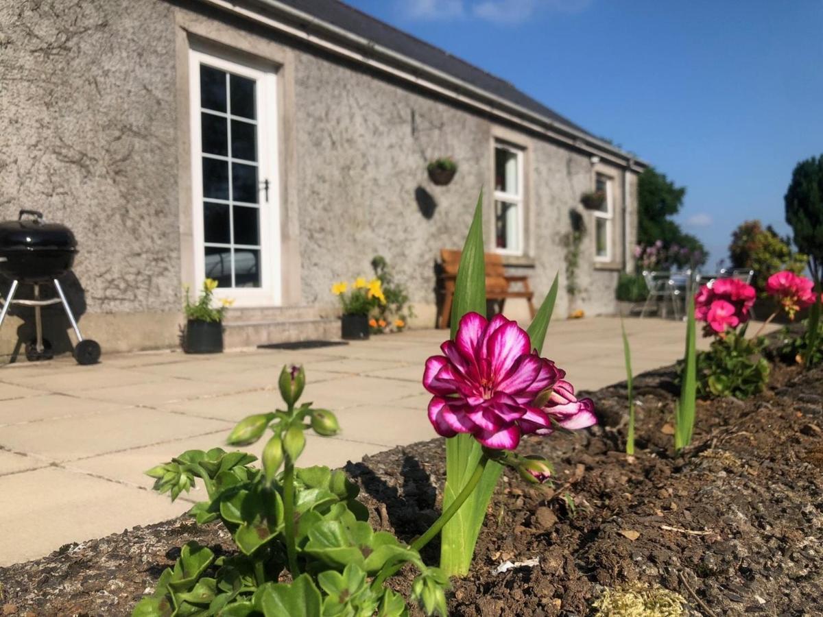 Ballyconnelly Cottages, Galgorm Area Cullybackey Bagian luar foto